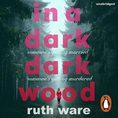 into the dark dark woods book