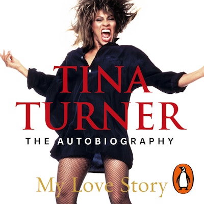 my love story tina turner pdf download