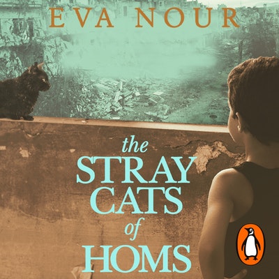 The Stray Cats of Homs