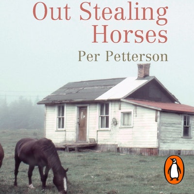 Out Stealing Horses