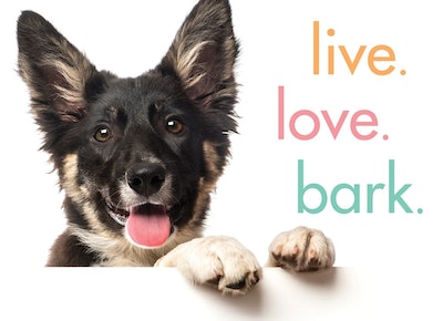 Live. Love. Bark. by Sourcebooks - Penguin Books Australia
