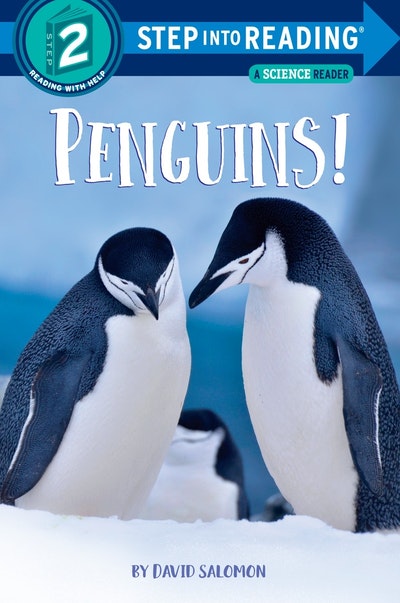Penguins By David Salomon Penguin Books Australia 