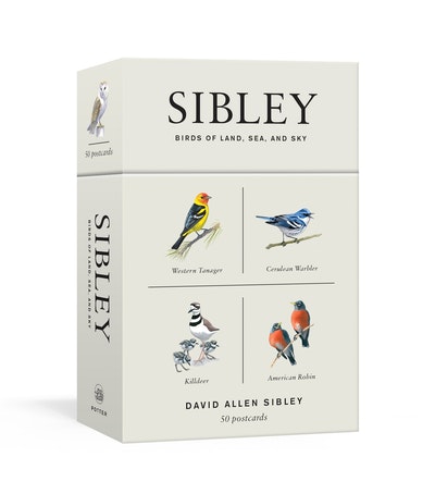 Sibley Birds of Land, Sea, and Sky