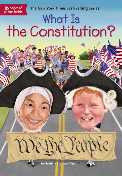 what-is-the-constitution-by-patricia-brennan-demuth-penguin-books