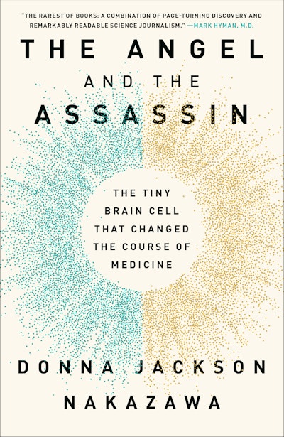The Angel and the Assassin