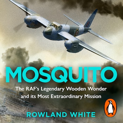 Mosquito