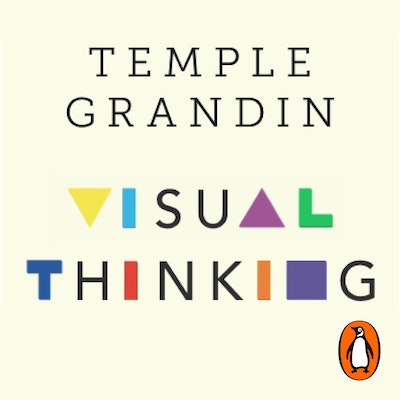Visual Thinking