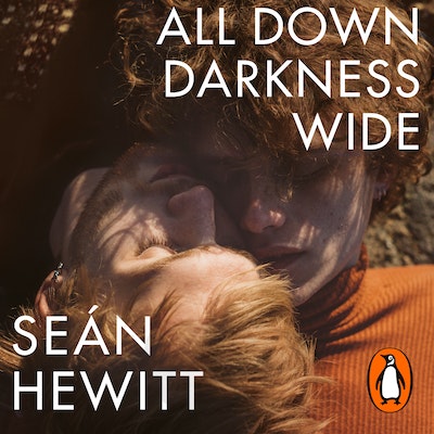 All Down Darkness Wide