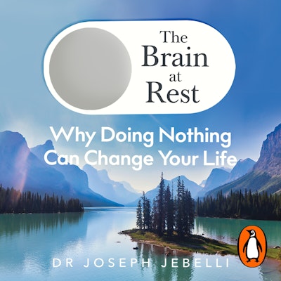 The Brain at Rest
