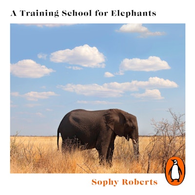 A Training School for Elephants