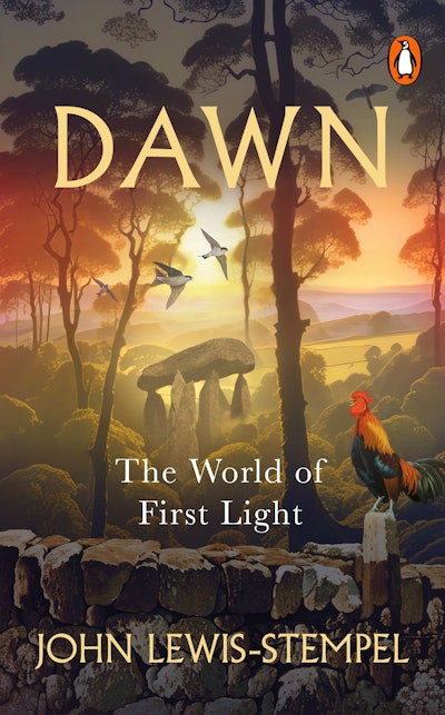 Dawn
