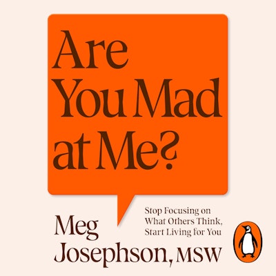 Are You Mad At Me?