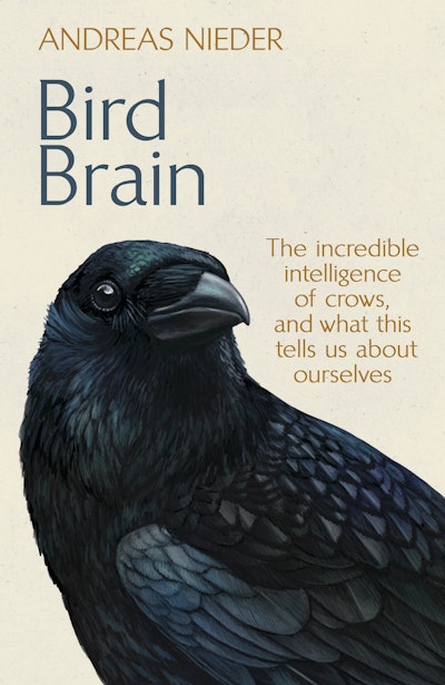 Bird Brain