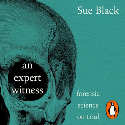 An Expert Witness