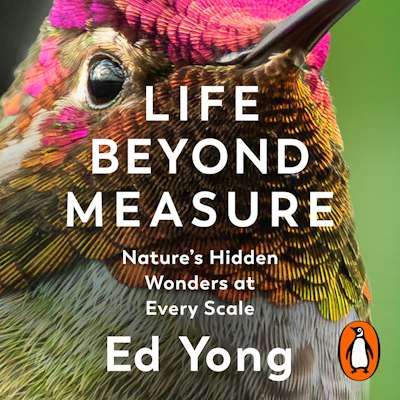 Life Beyond Measure