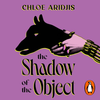 The Shadow of the Object