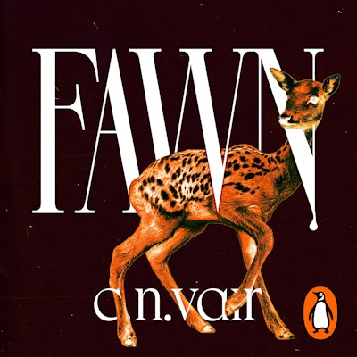 Fawn