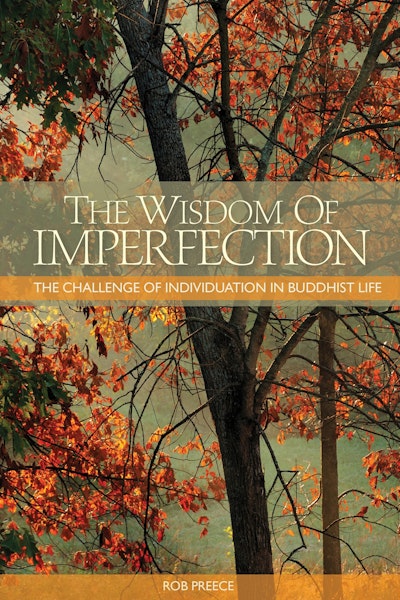 The Wisdom of Imperfection