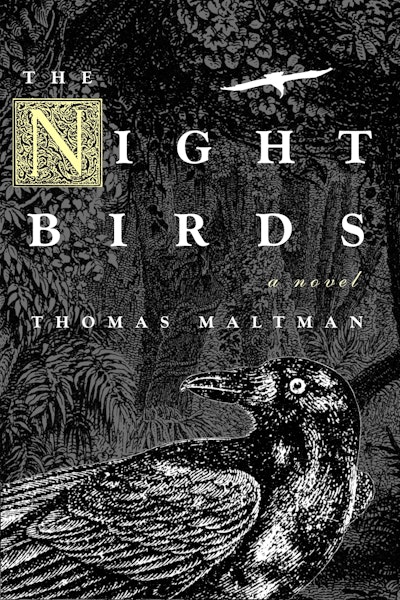 The Night Birds