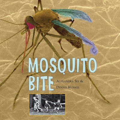 Mosquito Bite