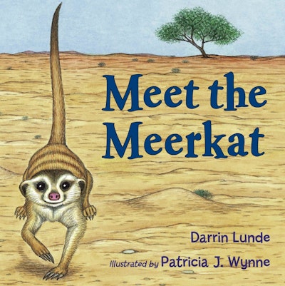 Meet the Meerkat