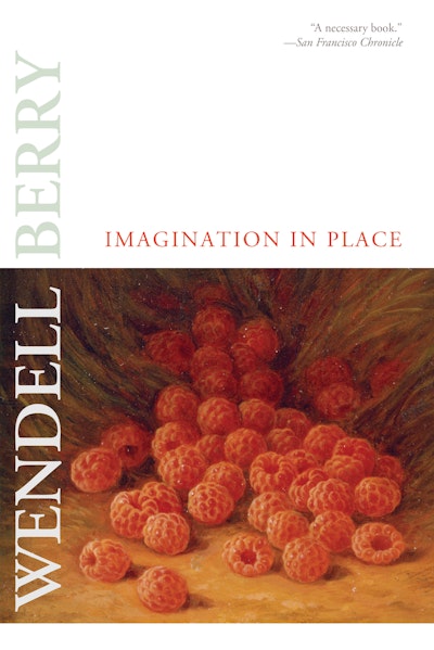 Imagination in Place