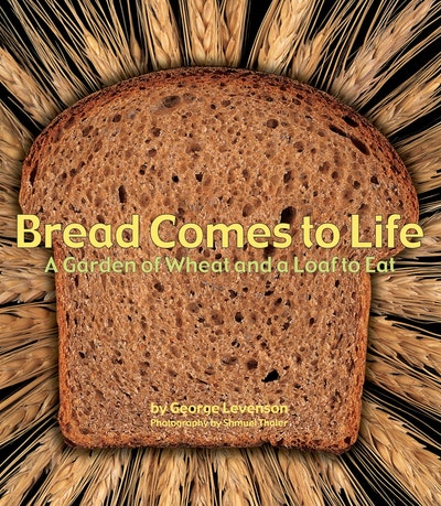 Bread Comes To Life