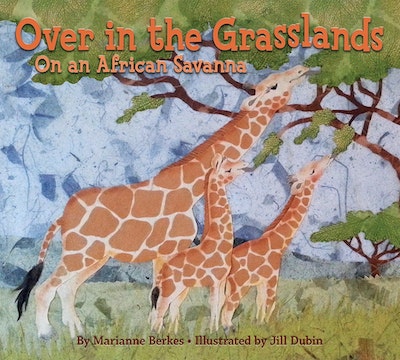 Over in the Grasslands