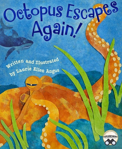 Octopus Escapes Again!