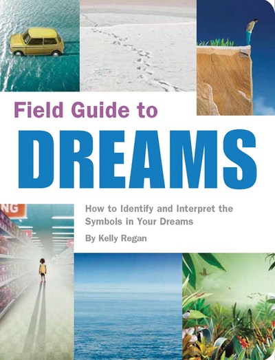 Field Guide To Dreams