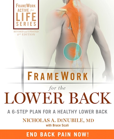 Framework For The Lower Back