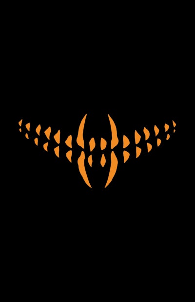 Something is Killing the Children Book Two Deluxe Edition Slipcased Edition