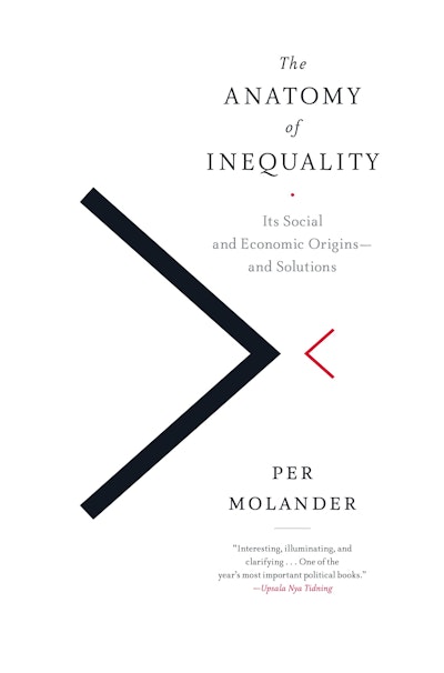 The Anatomy of Inequality