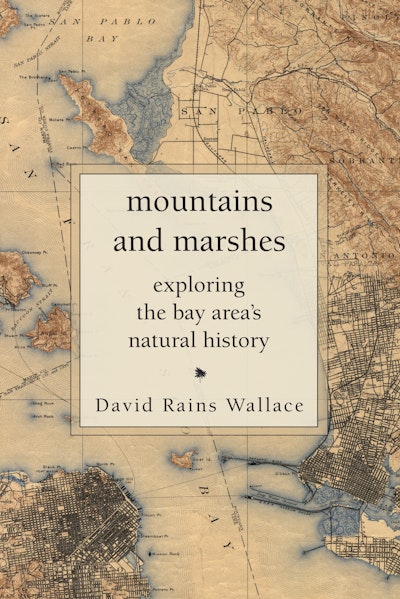 Mountains and Marshes