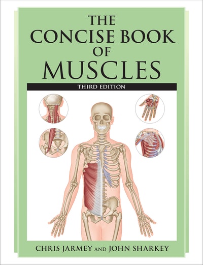 The Concise Book Of Muscles, Third Edition