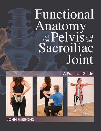 Functional Anatomy Of The Pelvis And The Sacroiliac Joint