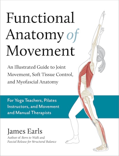 Functional Anatomy of Movement