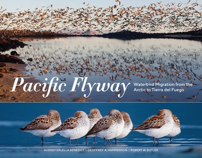 The Pacific Flyway