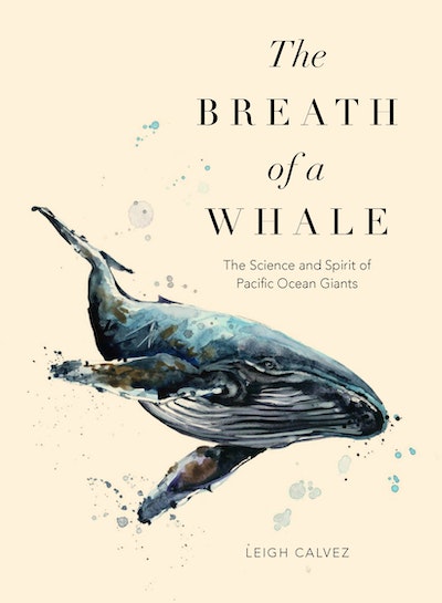 The Breath of a Whale