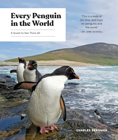 Every Penguin in the World