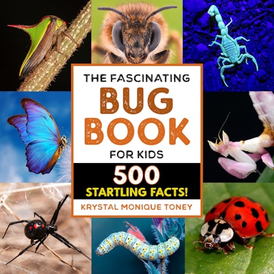 The Fascinating Bug Book for Kids