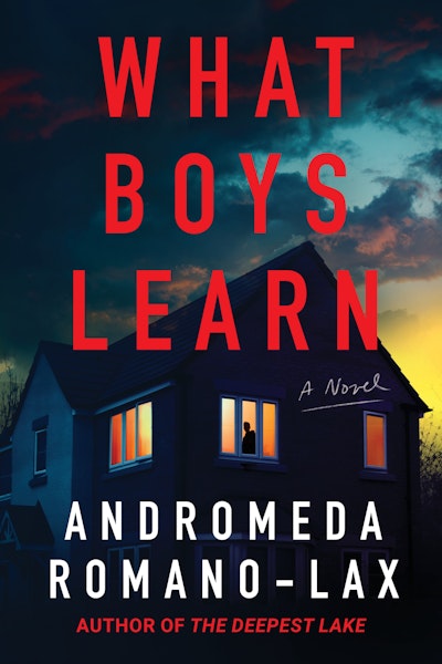 What Boys Learn