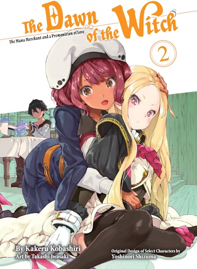 The Dawn of the Witch 2 (light novel)