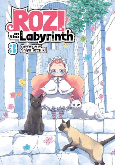 Rozi in the Labyrinth Vol. 3
