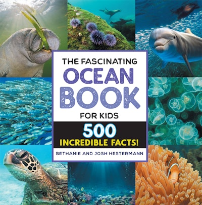 The Fascinating Ocean Book for Kids