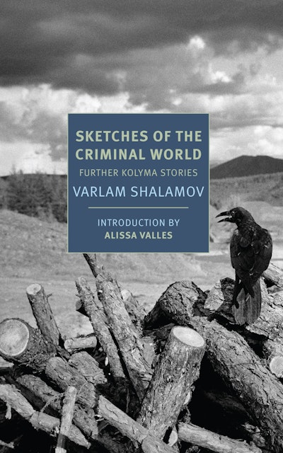 Sketches of the Criminal World