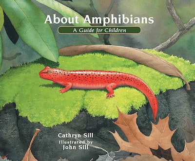 About Amphibians by Cathryn Sill - Penguin Books Australia