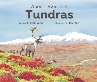 About Habitats: Tundras