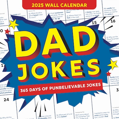 2025 Dad Jokes Wall Calendar by Sourcebooks - Penguin Books Australia