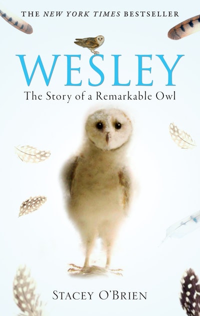 Wesley